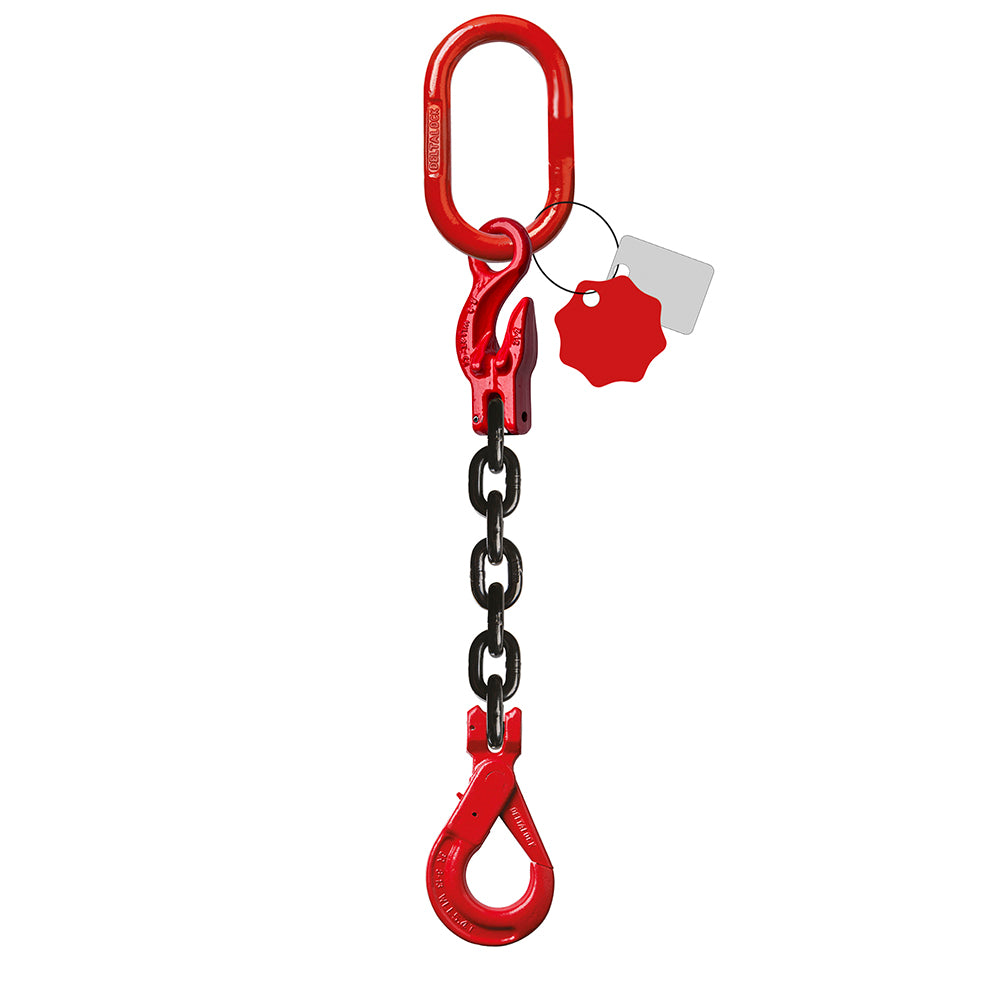 Kædesæt med sikkerhedskrog og opkorter DELTALOCK grade 80